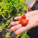 용인향교 이미지