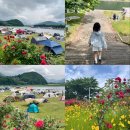 조은자리 캠핑장 | [청도 운문면] <운문댐 하류보> 캠린이의 우중 캠크닉 / 무료 노지 캠핑장