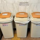 스텔라 호스텔 이미지