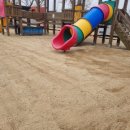 금성초등학교 병설유치원 이미지