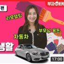 마미꾸미
