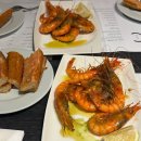 [스페인 바르셀로나] 꿀대구 타파스 찐 맛집 카탈라나(cerveceria catalana)