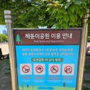 송도 해돋이공원 | 인천 송도 해돋이공원 나들이 후기(장미 축제)
