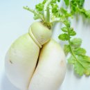 바람의 집 이미지