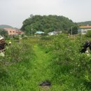 황룡농장 이미지