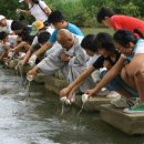 스테이 732 이미지