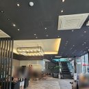 대전 유성 대형베이커리 카페 유림공원 근처 블레스롤 무지개케이크 후기