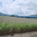 호부당 | 베이커리 맛집 "벌교 호부당"