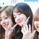 로로시 Daum카페