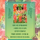 아리랑시네센터 이미지