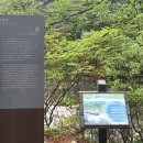 홍류동석벽제시 티스토리
