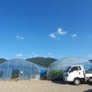 윤정희농장 이미지