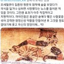 마야 문명의 도기를 보다보면 엉덩이에 무언가를 쑤셔넣고 황홀한 표정으로 웃고 있는 사람이 자주 보이는데.X 이미지