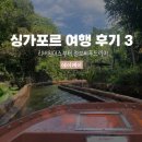 퀘스트박스 | 싱가포르 8월 여행 리버원더스 동물원 아마존 리버 퀘스트부터 점보씨푸드까지