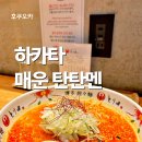 토리덴 | 후쿠오카 하카타역 ‘토리덴’ 특제 탄탄멘 5단계 (곤약면) 혼밥 후기