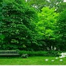 예쁜행복 이미지