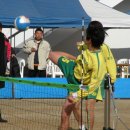 달성군민운동장 이미지