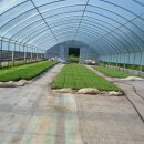 천평경로당 이미지