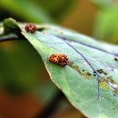 들꽃향기머무는곳 이미지