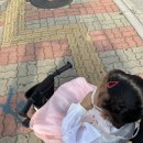2024년 9월 일기(2)