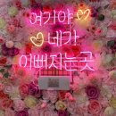 네일더썬