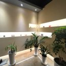 아이비라인치과의원 이미지