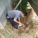 시청남로 이미지