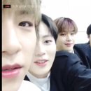 멈무들 이미지