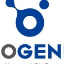 이노써지 이미지