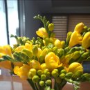 5일시장펌프장 이미지