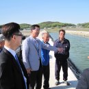 삼동암천 이미지