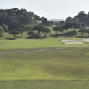 그린온주
