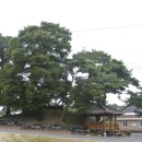 대사 마을회관 이미지