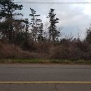 제주토지공인중개사사무소 이미지