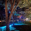 가야금(야간) 이미지