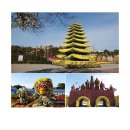 함평 국화축제 안내 이미지