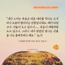 쓰담쓰다