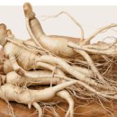 한국인삼(KOREA GINSENG)