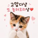 이디야커피천안목천점