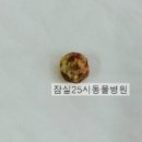 25시종합동물병원 이미지