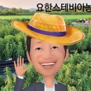 요한농장 이미지