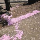 동산1리경로당 이미지