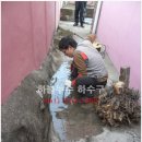 순천당약국 이미지