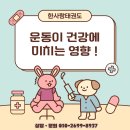 한사랑 태권도(세종도장) 이미지