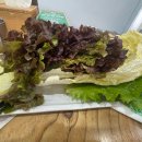 우렁각시 제육총각 | [경기도 고양시 맛집]오늘 N 위대한일터 일산동구 우렁쌈밥 맛집 위치, 주차정보