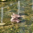 나운목욕탕 이미지