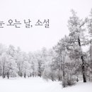 소설