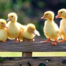 아람체육관 이미지