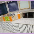 킹스키즈 개린이집 이미지