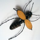 디지털서울문화예술대학교 이미지